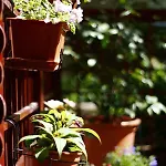 Downtown Garden Isle In Urban Style-free Parking *