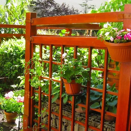 Downtown Garden Isle In Urban Style-free Parking *