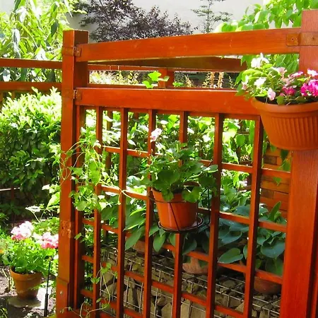Downtown Garden Isle In Urban Style-free Parking *
